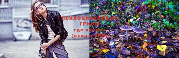 таблы Алексин